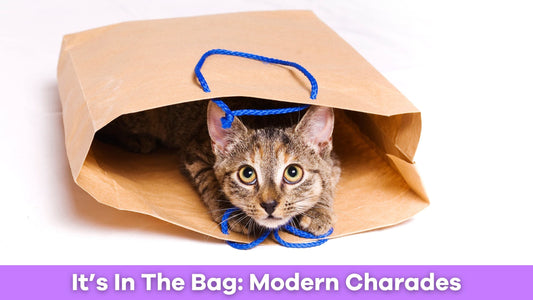 It’s In The Bag: Fun Family Charades Game That Brings Everyone Together