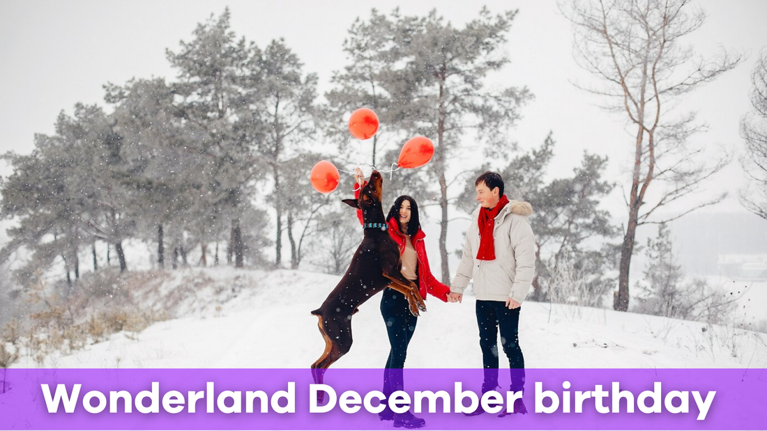 Why a Winter Wonderland is the Perfect December Birthday Theme